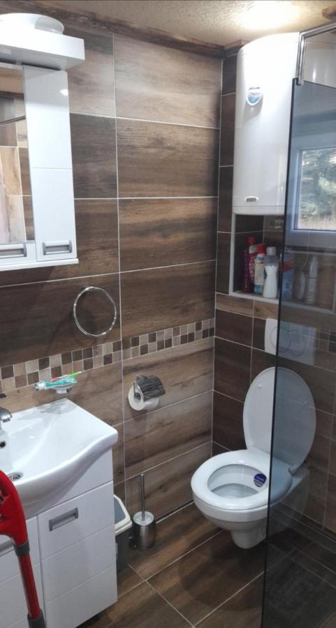 Apartmani Milosavljevic Divcibare Ngoại thất bức ảnh
